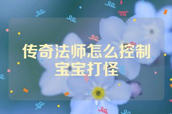 传奇法师怎么控制宝宝打怪