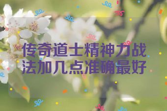 传奇道士精神力战法加几点准确最好
