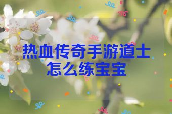 热血传奇手游道士怎么练宝宝
