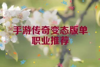 手游传奇变态版单职业推荐