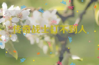 传奇战士打不到人