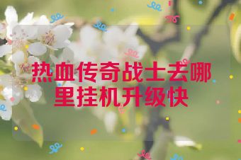 热血传奇战士去哪里挂机升级快