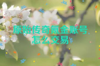原始传奇氪金账号怎么交易