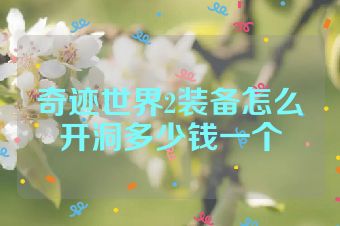 奇迹世界2装备怎么开洞多少钱一个