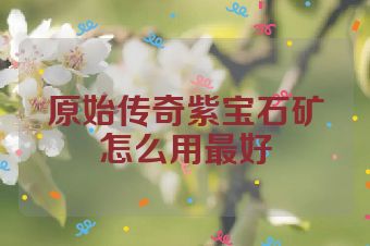 原始传奇紫宝石矿怎么用最好