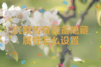 沉默传奇装备隐藏属性怎么设置