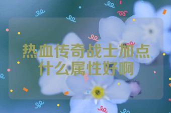热血传奇战士加点什么属性好啊