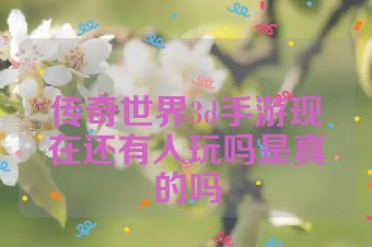 传奇世界3d手游现在还有人玩吗是真的吗