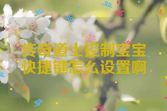 传奇道士控制宝宝快捷键怎么设置啊