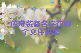 传奇装备名字在哪个文件夹里