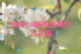 传奇1.0版本都有什么装备