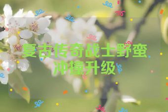 复古传奇战士野蛮冲撞升级