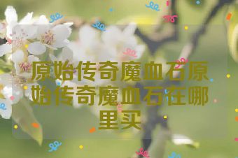 原始传奇魔血石原始传奇魔血石在哪里买