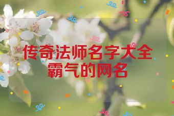 传奇法师名字大全霸气的网名