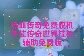 热血传奇免费脱机外挂传奇世界挂机辅助免费版