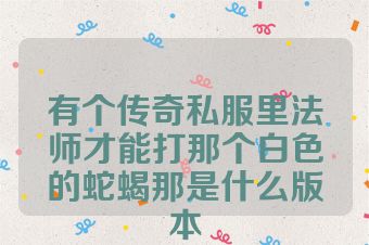 有个传奇私服里法师才能打那个白色的蛇蝎那是什么版本