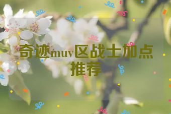 奇迹muv区战士加点推荐