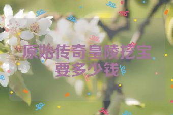 原始传奇皇陵挖宝要多少钱