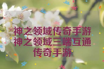神之领域传奇手游神之领域三端互通传奇手游