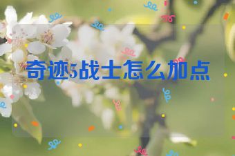 奇迹5战士怎么加点