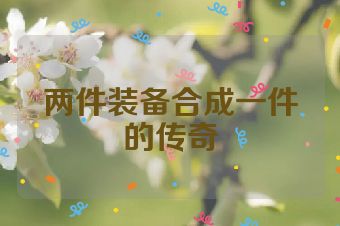 两件装备合成一件的传奇