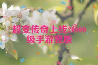 超变传奇上线20000级手游竖版