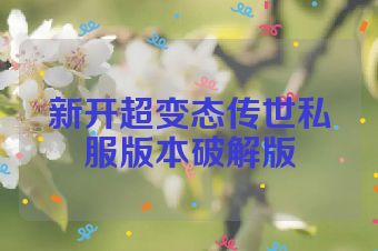 新开超变态传世私服版本破解版