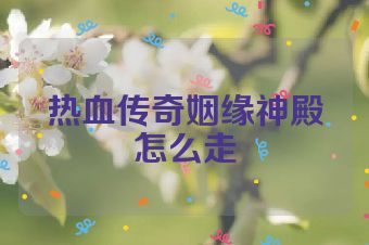 热血传奇姻缘神殿怎么走