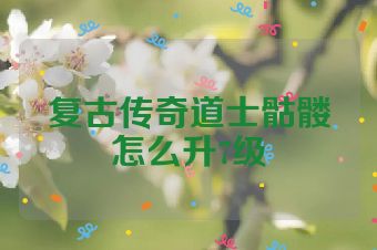 复古传奇道士骷髅怎么升7级