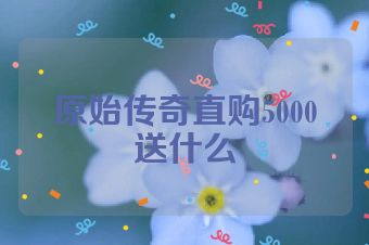 原始传奇直购5000送什么