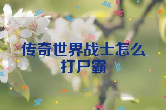 传奇世界战士怎么打尸霸