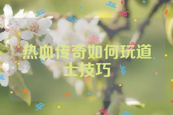 热血传奇如何玩道士技巧