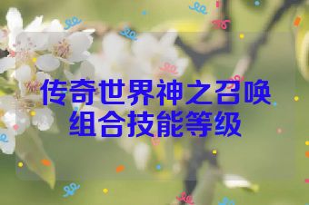 传奇世界神之召唤组合技能等级