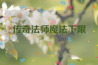 传奇法师魔法下限