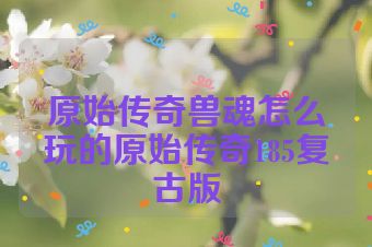 原始传奇兽魂怎么玩的原始传奇185复古版