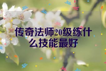 传奇法师20级练什么技能最好