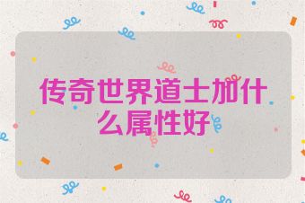 传奇世界道士加什么属性好
