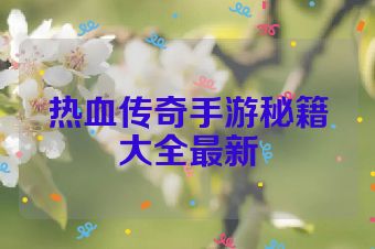热血传奇手游秘籍大全最新