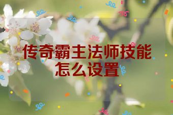 传奇霸主法师技能怎么设置