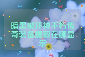 暗黑破坏神不朽传奇装备提取在哪显示