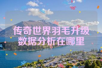 传奇世界羽毛升级数据分析在哪里