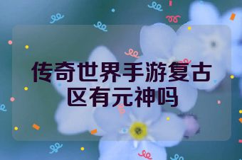 传奇世界手游复古区有元神吗
