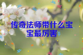 传奇法师带什么宝宝最厉害