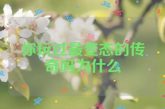 你玩过最变态的传奇吗为什么