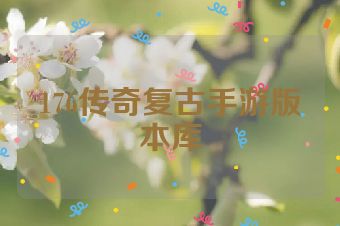 176传奇复古手游版本库