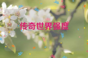 传奇世界强度