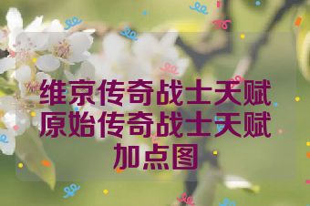 维京传奇战士天赋原始传奇战士天赋加点图