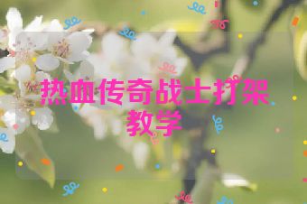 热血传奇战士打架教学