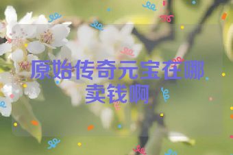 原始传奇元宝在哪卖钱啊