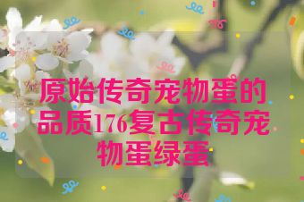 原始传奇宠物蛋的品质176复古传奇宠物蛋绿蛋